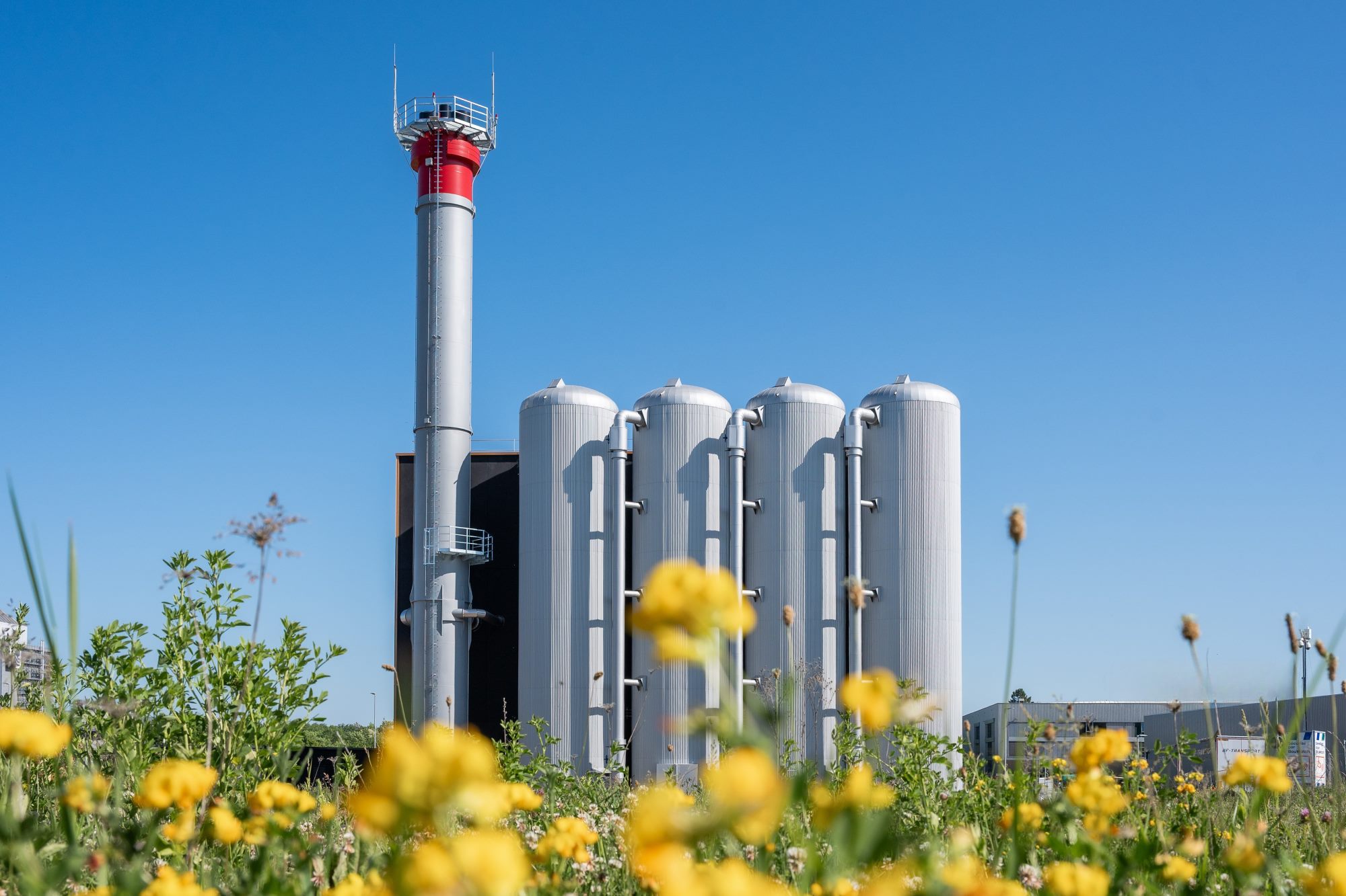 Waldaecker III Fassade mit Blumen im Vordergrund